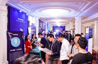 區(qū)塊鏈技術 發(fā)展中社區(qū)的革新引擎與機遇