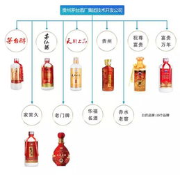茅臺酒品鑒與營銷策略 技術開發(fā)賦能品牌新生態(tài)